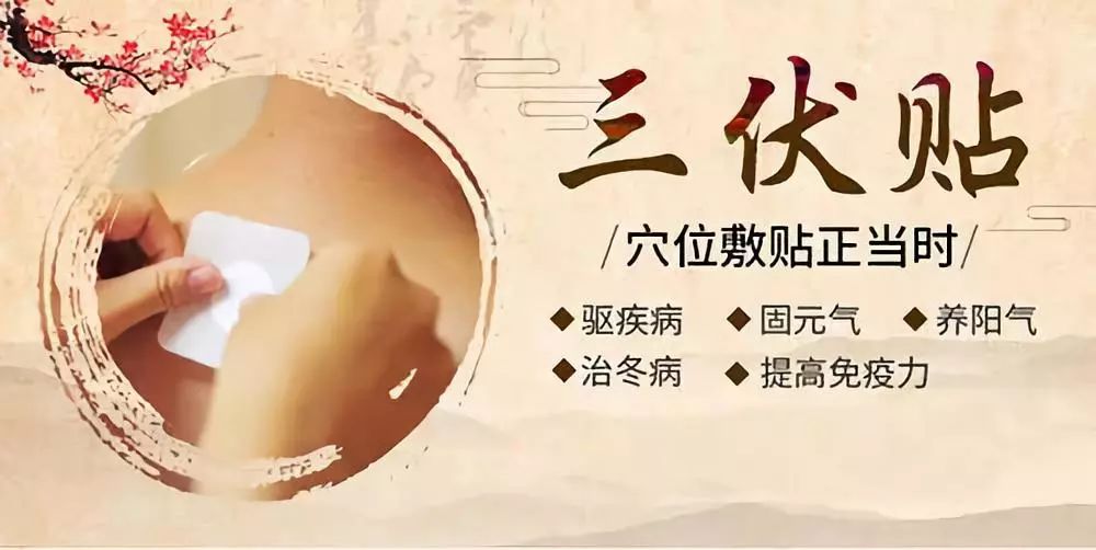關(guān)于三伏貼，你了解多少呢？