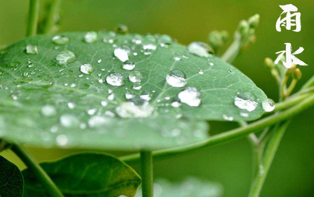 雨水！